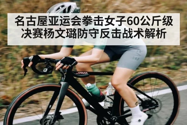 名古屋亚运会拳击女子60公斤级决赛杨文璐防守反击战术解析 | kaiyun